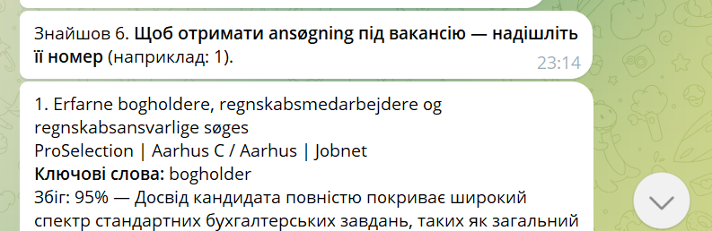 Приклад позитивного збігу: CV бухгалтера проти вакансії Erfarne bogholdere, 95%